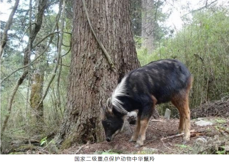 1714273378595652.png 2.png