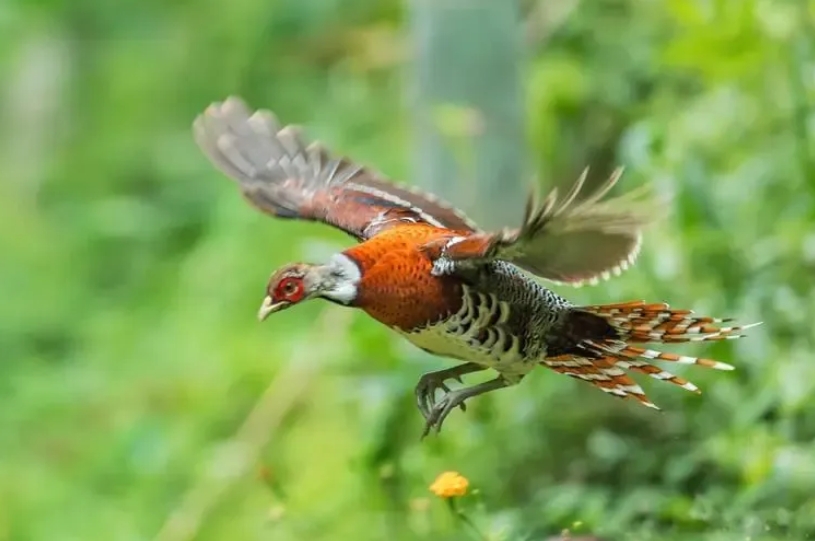 1714273393242877.png 3.png