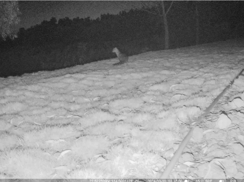 1714273584230442.png 1.png