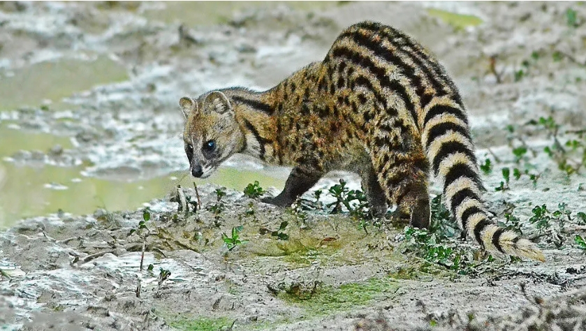 1714273594430421.png 2.png