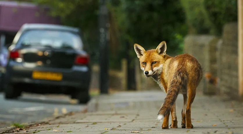 1714273902895184.png 1.png