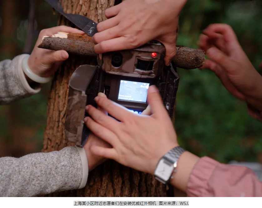 1714273938331719.png 3.png