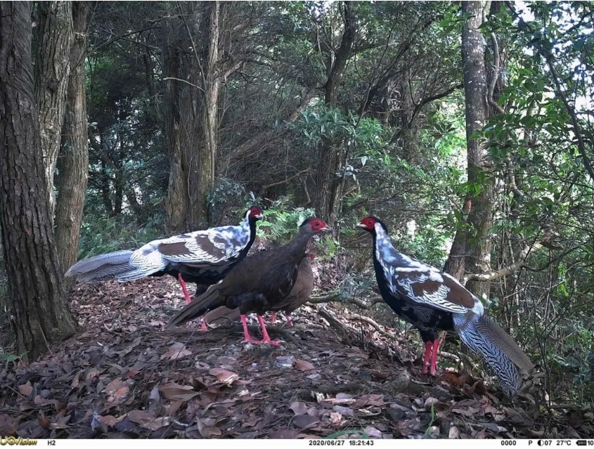 1714274533641939.png 1.png