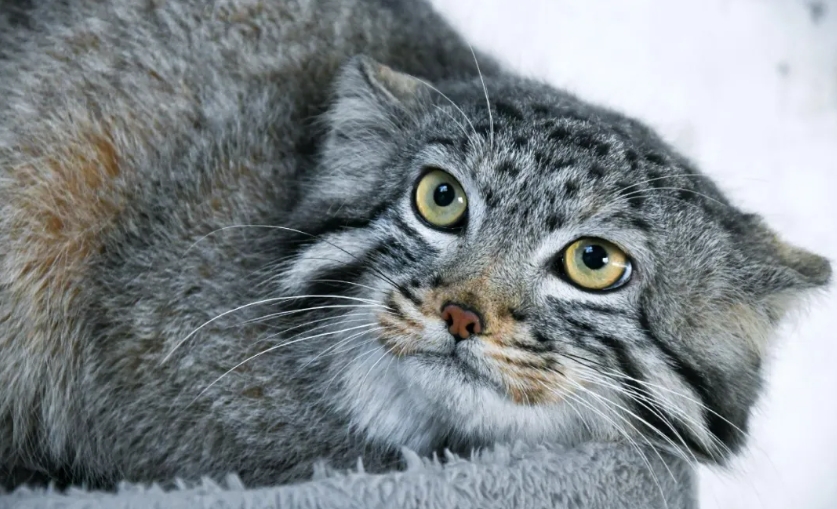 1714443385157738.png 2.png