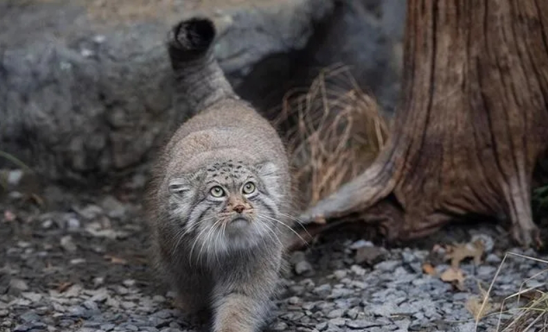 1714443405534444.png 3.png