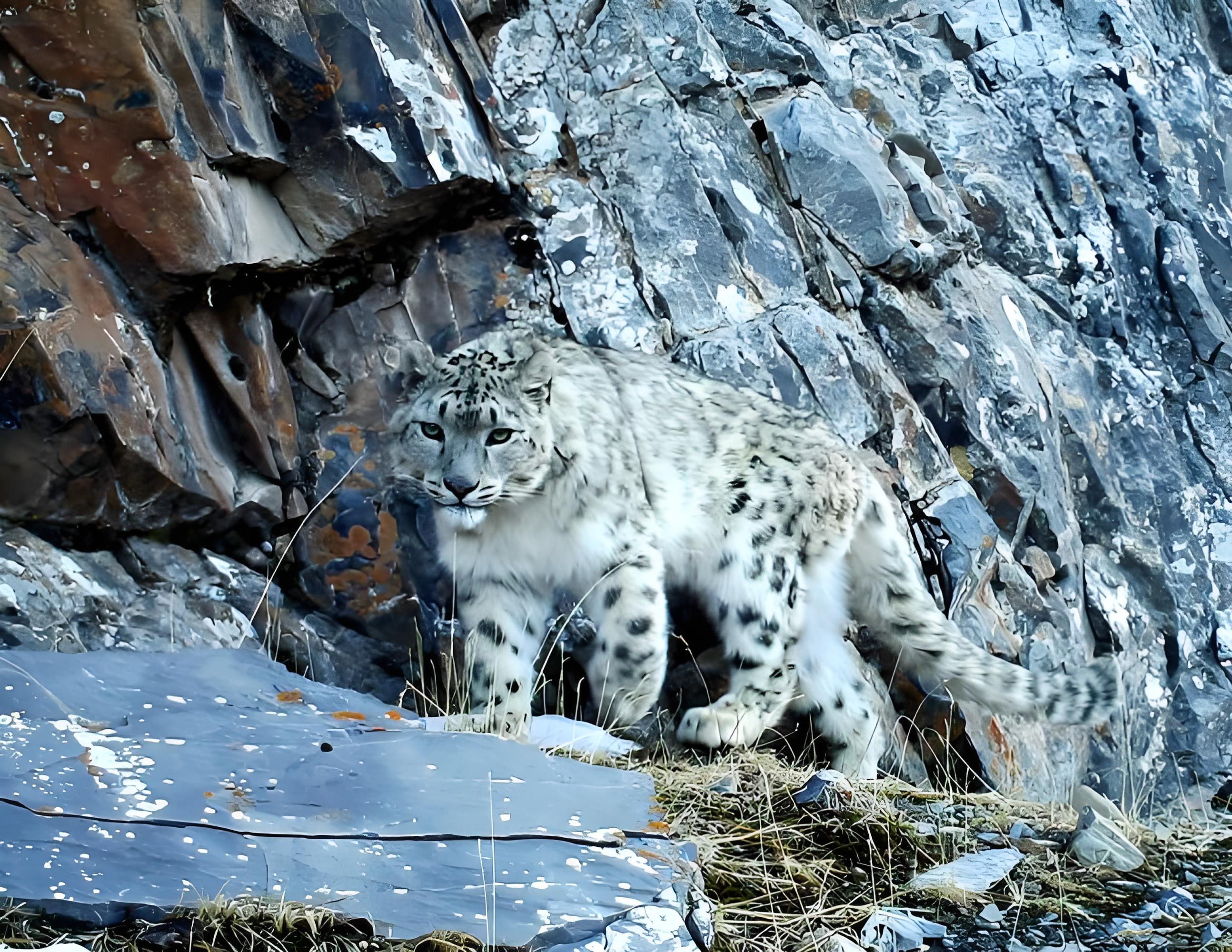 1718862899757360.jpg 1daa719b-2cf5-48d8-81ee-79031f36c82b.jpg