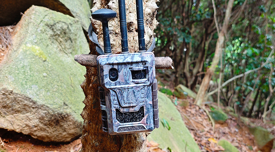 1718862930286884.jpg 11.jpg