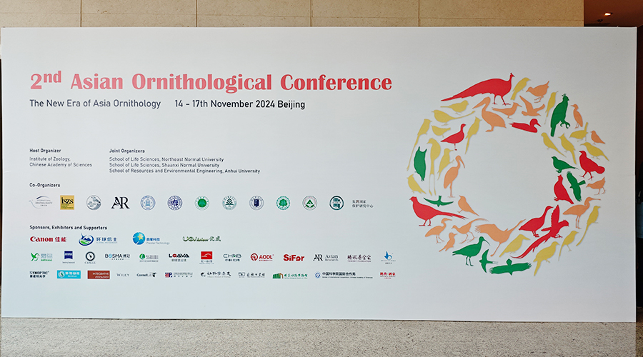 1732605798899792.jpg 未標題-2.jpg