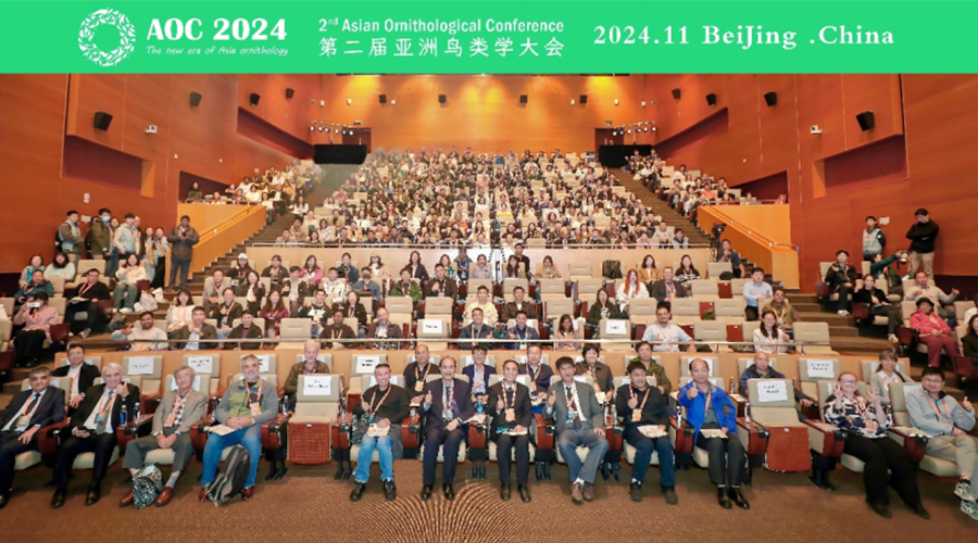 1732605812218366.jpg 未標題-1.jpg