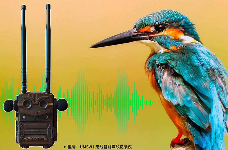 優(yōu)威聲紋記錄儀：AI+聲紋技術如何重塑野生動物監(jiān)測的邊界？