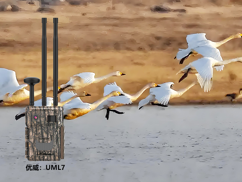 1741241755577571.jpg 未標題-1.jpg