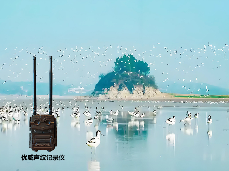 1741241767999584.jpg 未標題-2.jpg