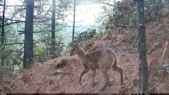 1742362498621787.png 3.png