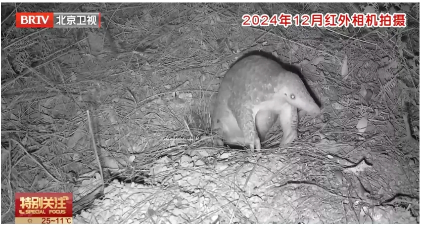 1745311917631079.png 微信截圖_20250422160502.png